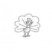 孔雀的卡通画法漂亮的孔雀