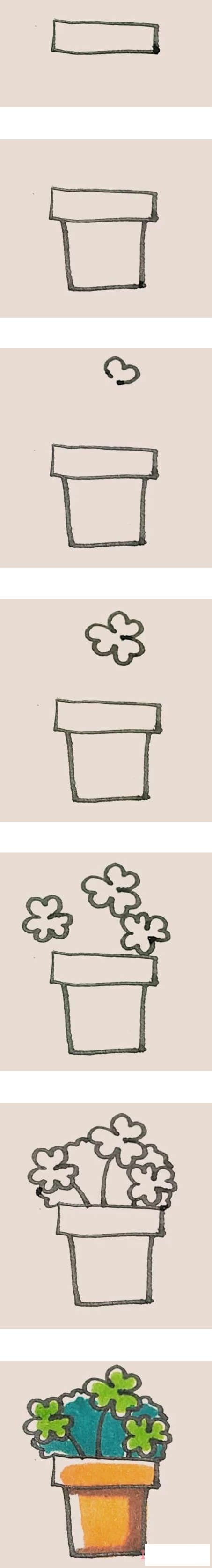 彩色三叶草盆栽简笔画怎么画带步骤图