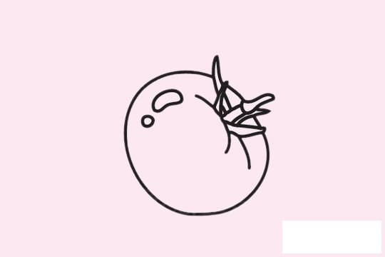 番茄简笔画图片