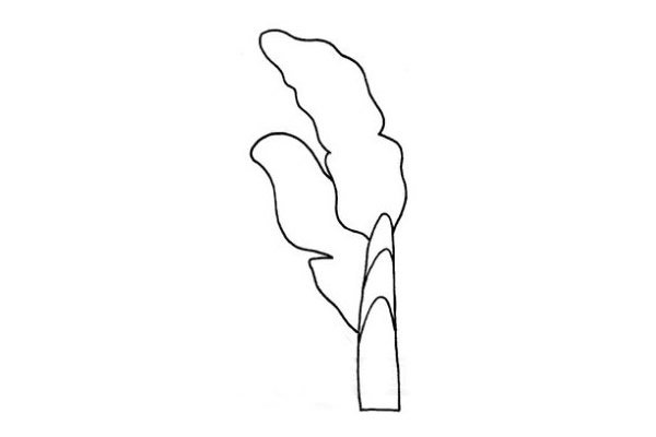 芭蕉树简笔画步骤图解