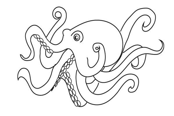 章鱼简笔画