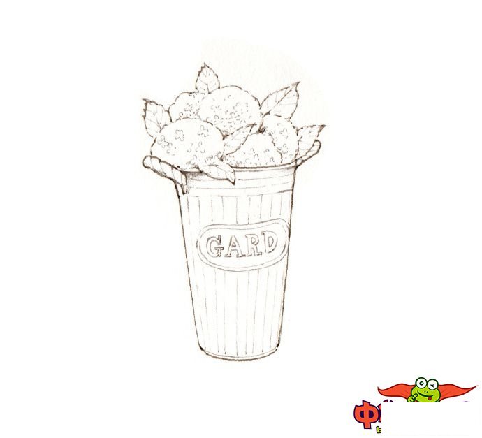 文艺小清新植物简笔画图片大全，儿童简笔画植物花草