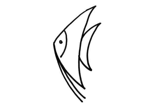 海鱼简笔画