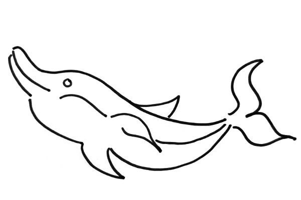 海豚简笔画