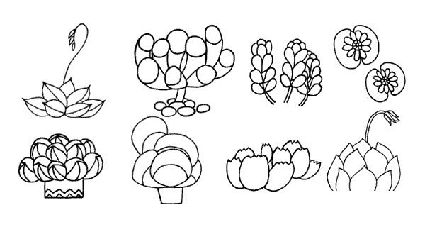 多肉植物简笔画图片大全
