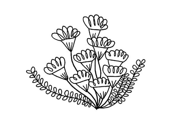 小野花简笔画