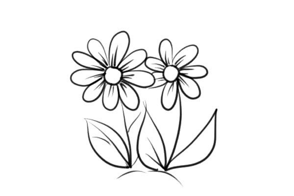 简笔画漂亮的小花花