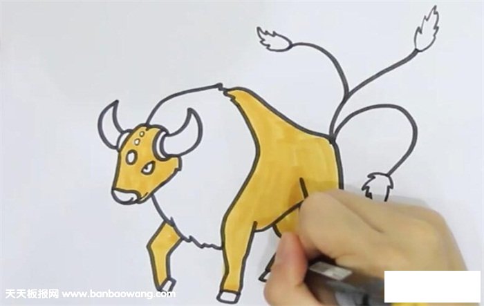 肯泰罗简笔画