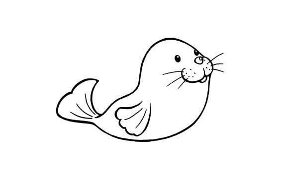 卡通海豹图片简笔画