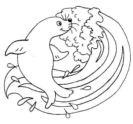 海豹表演简笔画