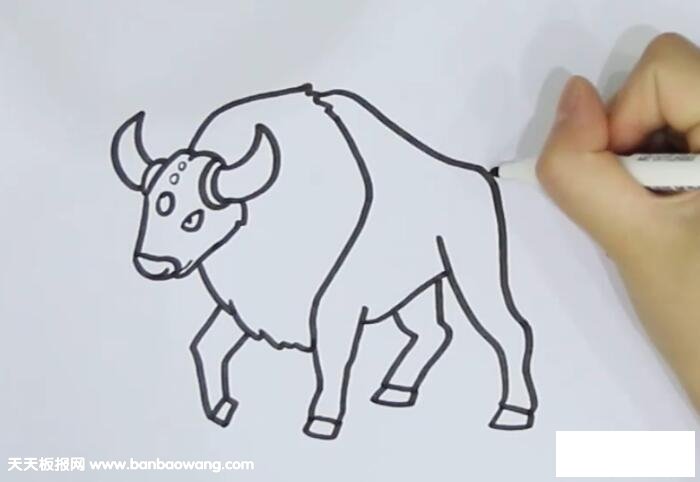 肯泰罗简笔画
