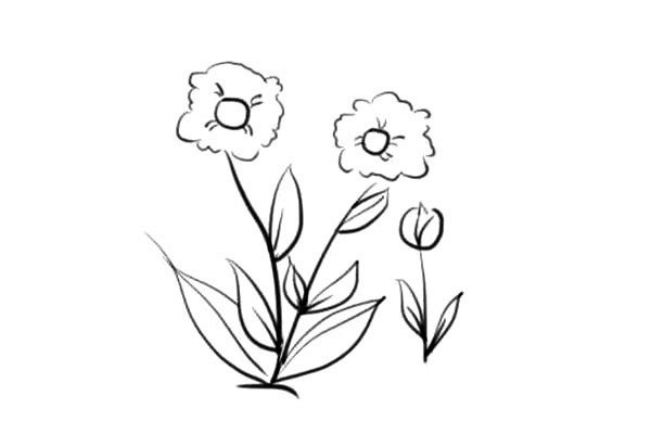 简笔画漂亮的小花花