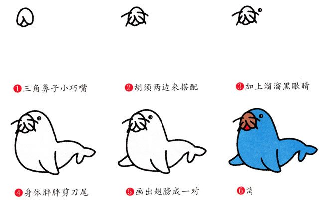 彩色的海豹简笔画画法步骤图