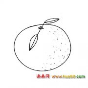 水果简笔画：可口橘子4