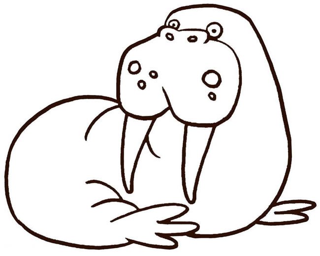 海豹的画法简笔画