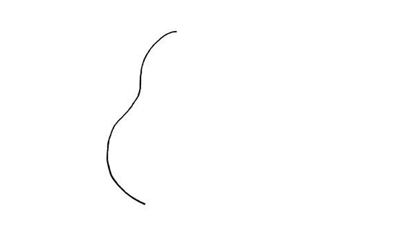 梨的简笔画