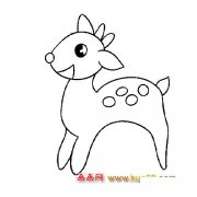 开心梅花鹿│动物简笔画