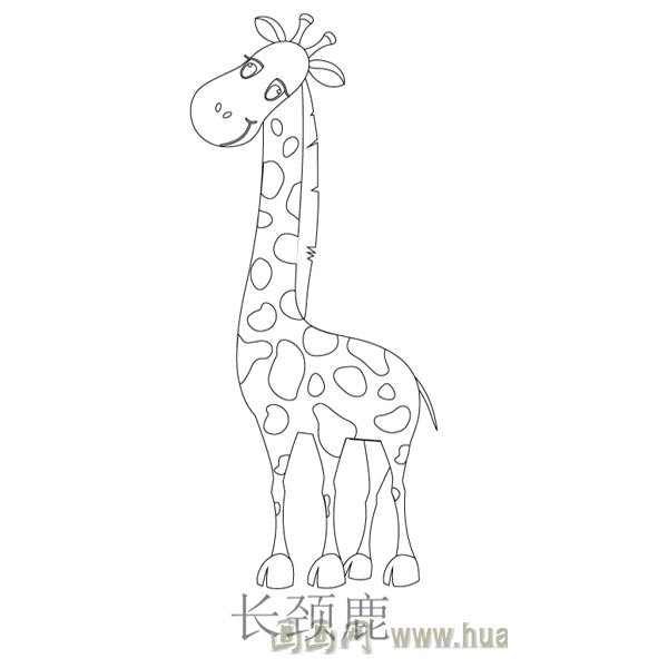 儿童简笔画：高高的长颈鹿