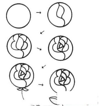 简笔画简单漂亮的玫瑰花的具体画法步骤图片教程