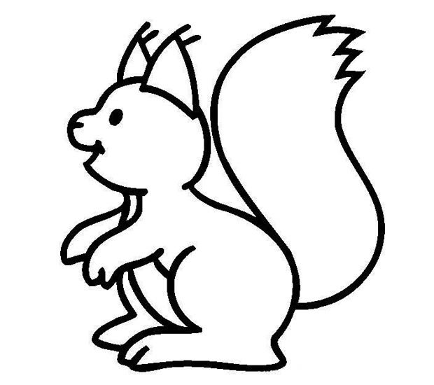 幼儿简笔画：一只可爱的大松鼠