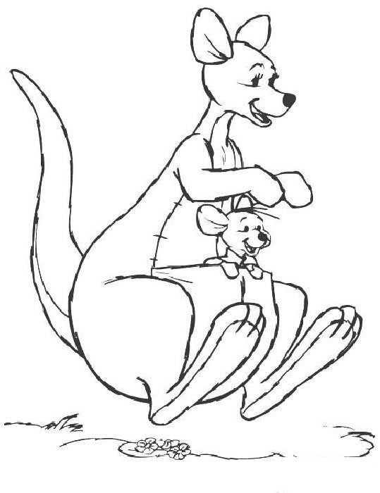可爱袋鼠简笔画儿童画