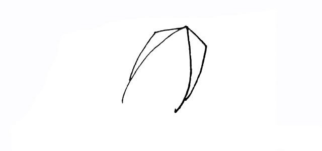 卡通鱿鱼简笔画