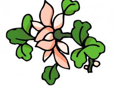 最新荷花简笔画