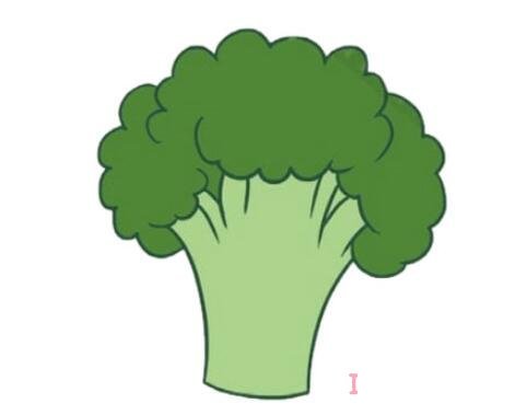 怎么画彩色西兰花简笔画简单好看