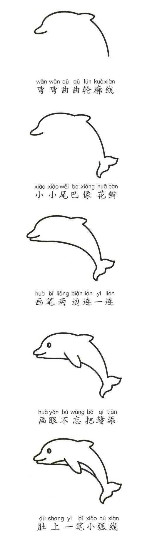 海豚简笔画步骤教程 海豚的简单画法