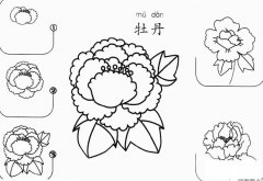 牡丹怎么画简笔画