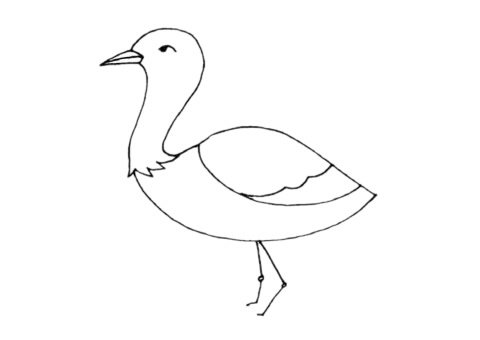 鸨鸟简笔画图片