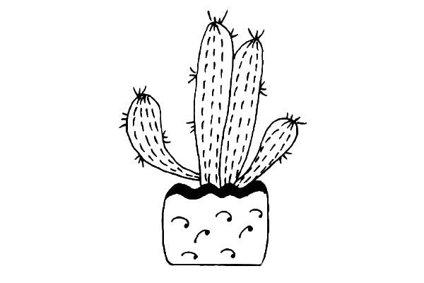 仙人掌盆栽简笔画