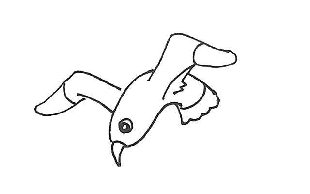 海鸥简笔画