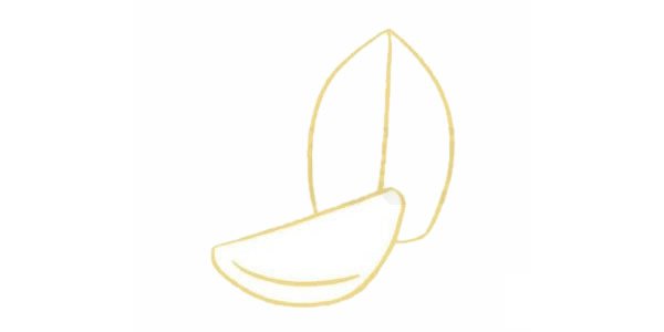 大蒜简笔画图片