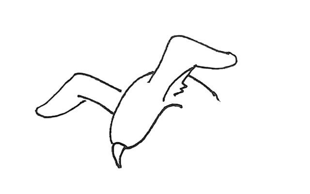 海鸥简笔画