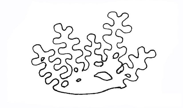 珊瑚简笔画