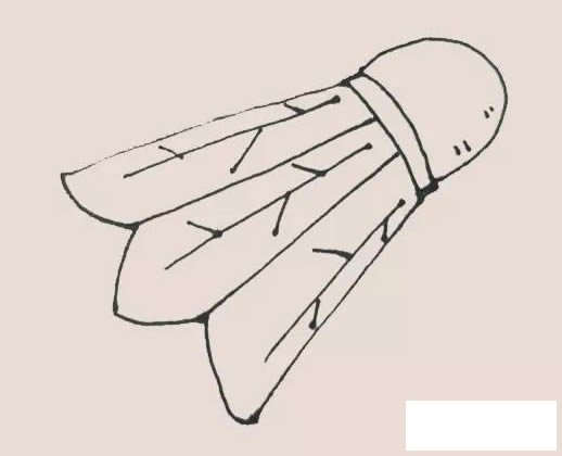 羽毛球简笔画