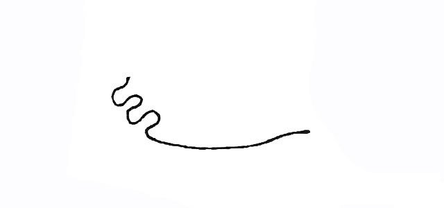珊瑚简笔画