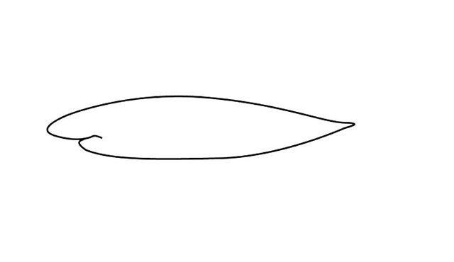 鲨鱼简笔画