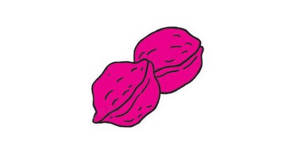 核桃简笔画图片