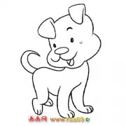 动物简笔画：小狗3