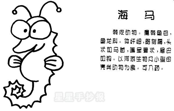 海马简笔画