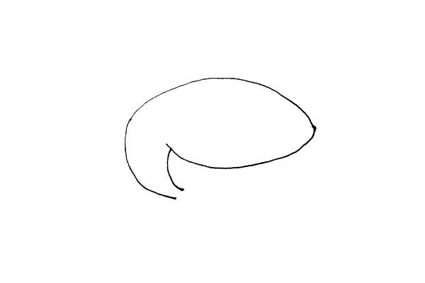 鲨鱼简笔画