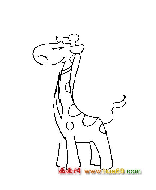 动物简笔画（长颈鹿）3