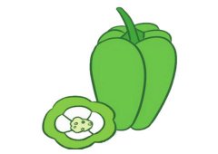 青椒简笔画的画法步骤及图片大全