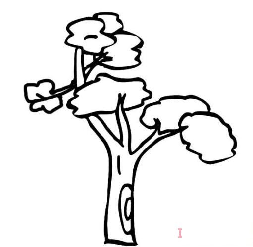 怎么画一棵大树简笔画图片简单易学