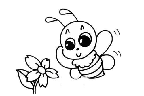 采花蜜的蜜蜂简笔画图片