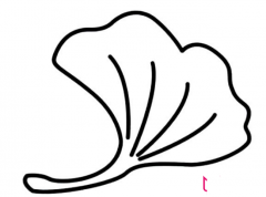 儿童简笔画,银杏树叶简笔画