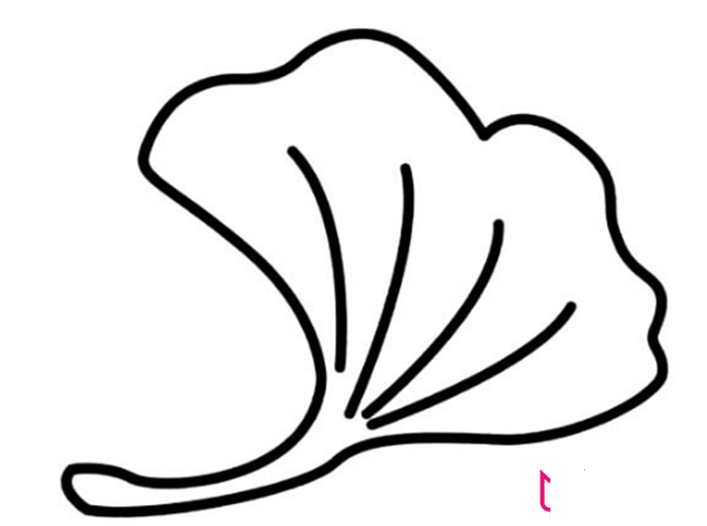 儿童简笔画,银杏树叶简笔画