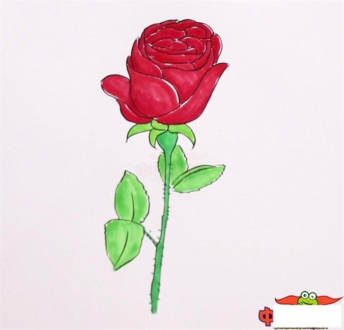 一步一步教你画玫瑰花，玫瑰怎么画一步一步教